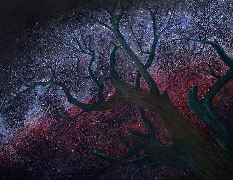 The top of tree branches with the night sky and stars in the background