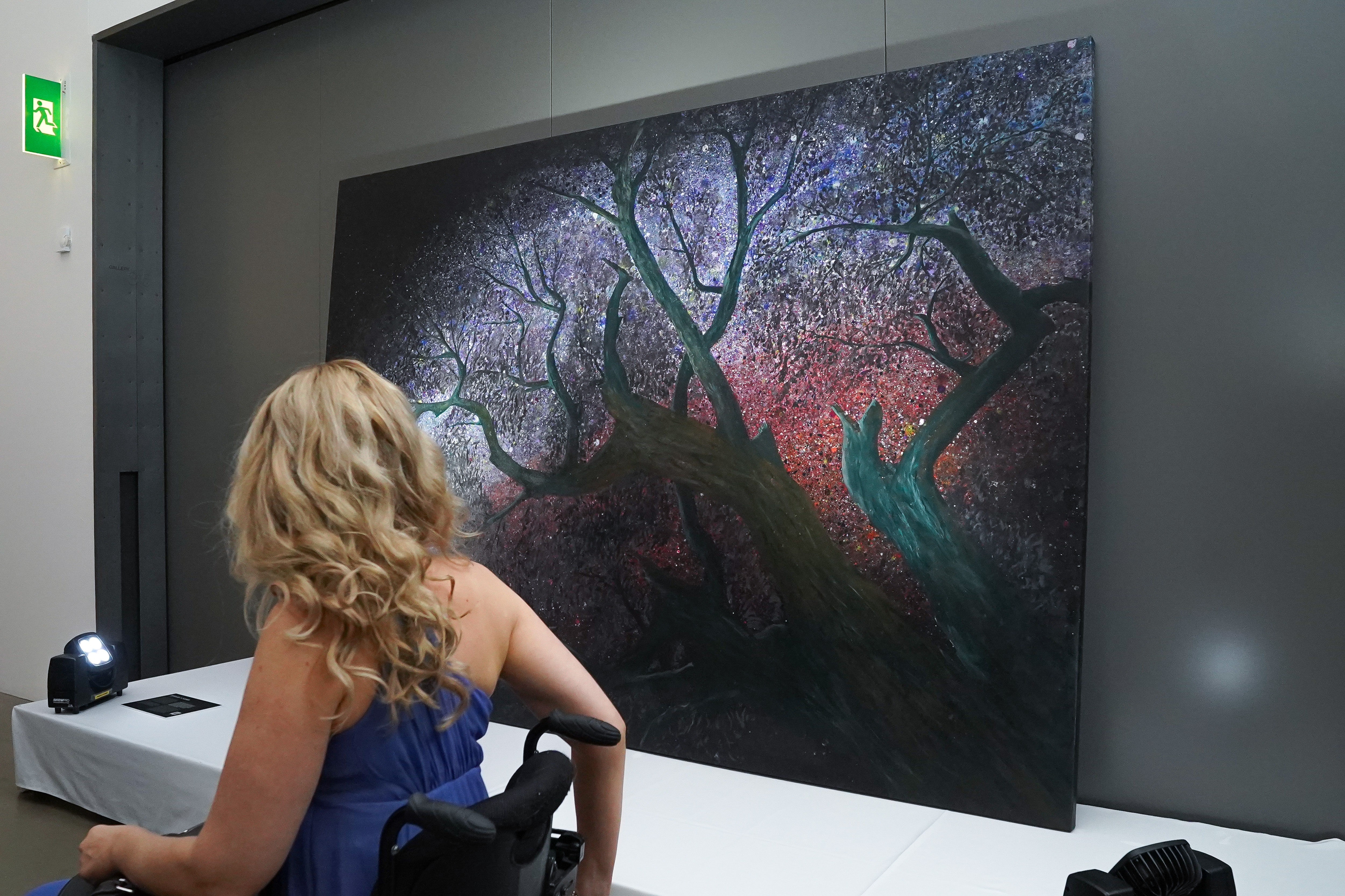 PRESS RELEASE: ‘Last Seen’ an art Exhibition to Save Sight, successfully launched by Queensland Eye Institute Foundation